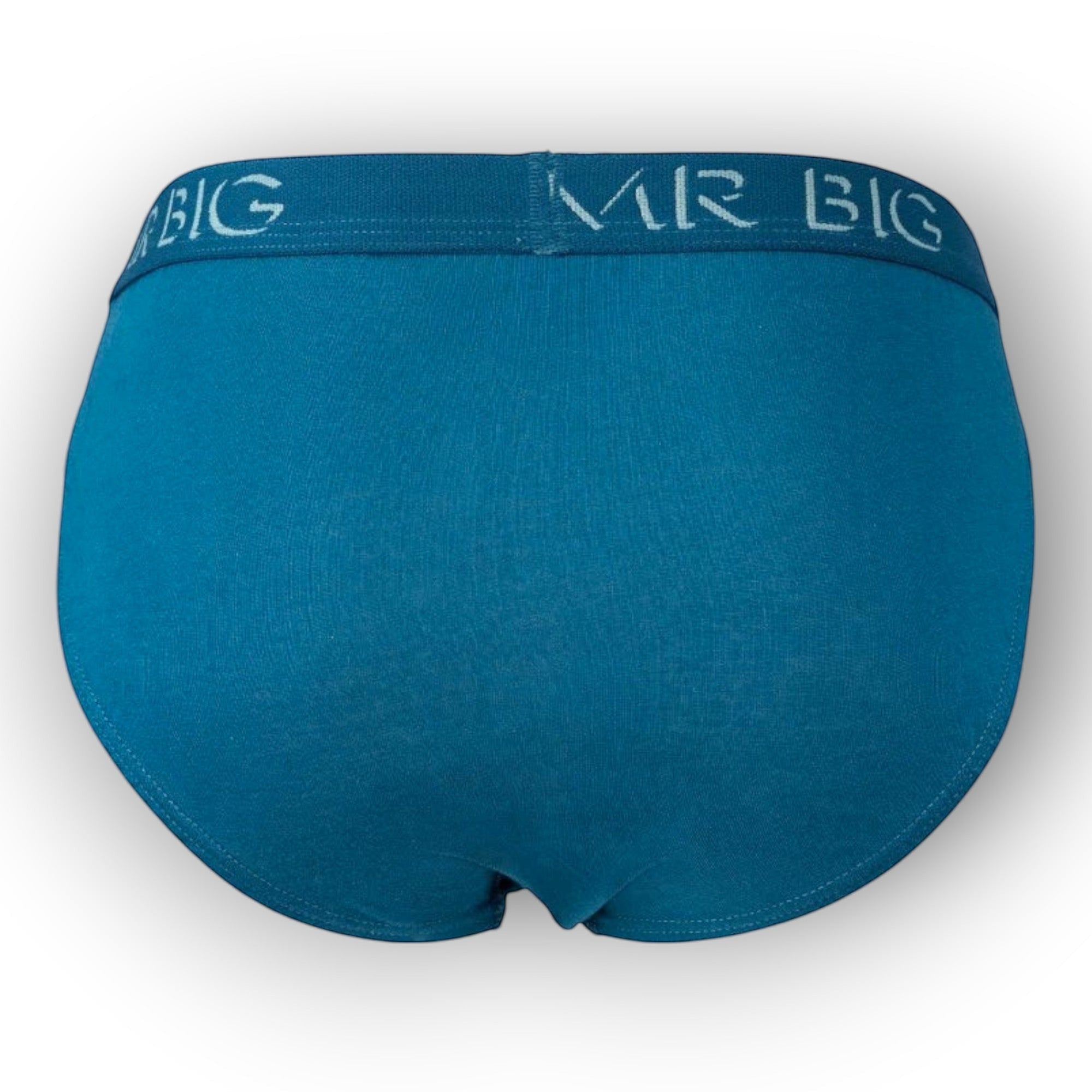 Férfi slip alsónadrág (fecske)-MR. BIG