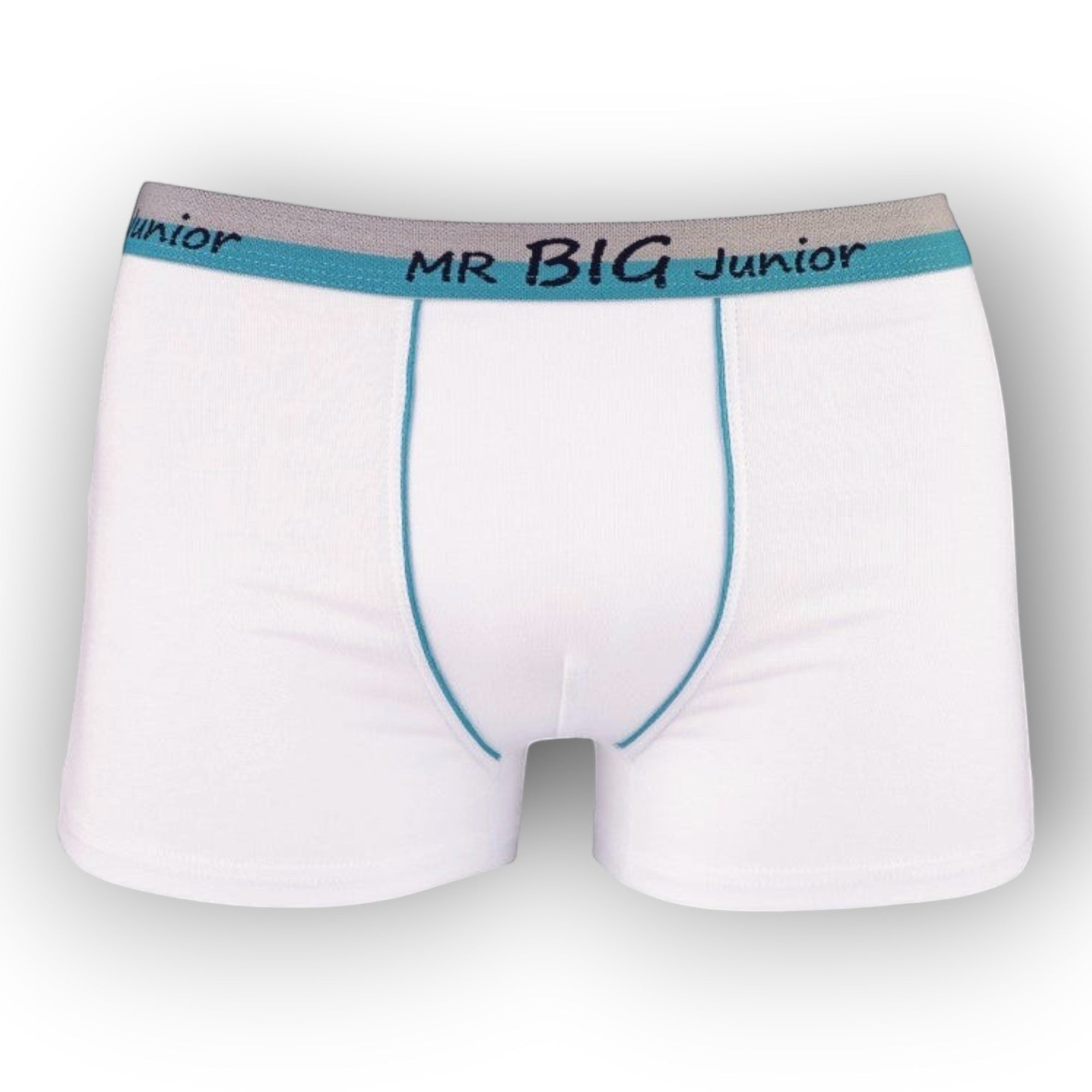 Fiú boxer-MR BIG