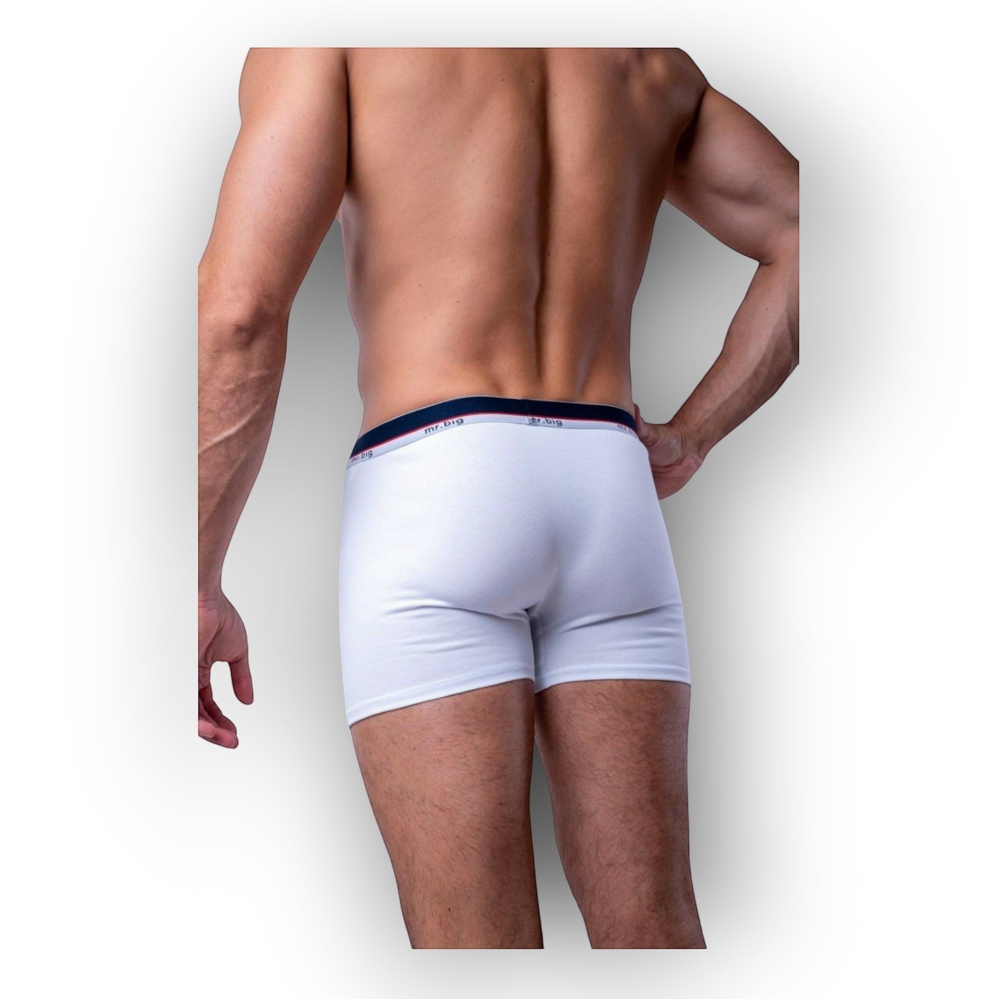 Férfi boxer Mr Big-223