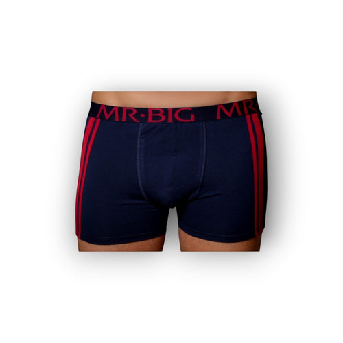 Mr Big Stretch boxer