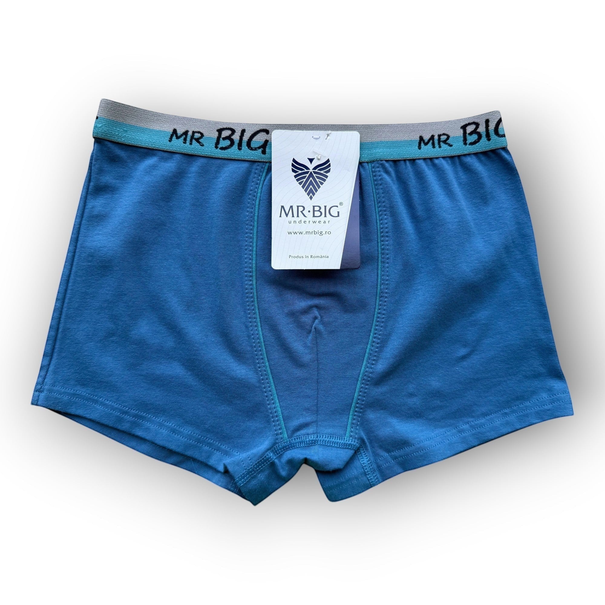 Fiú boxer-MR BIG